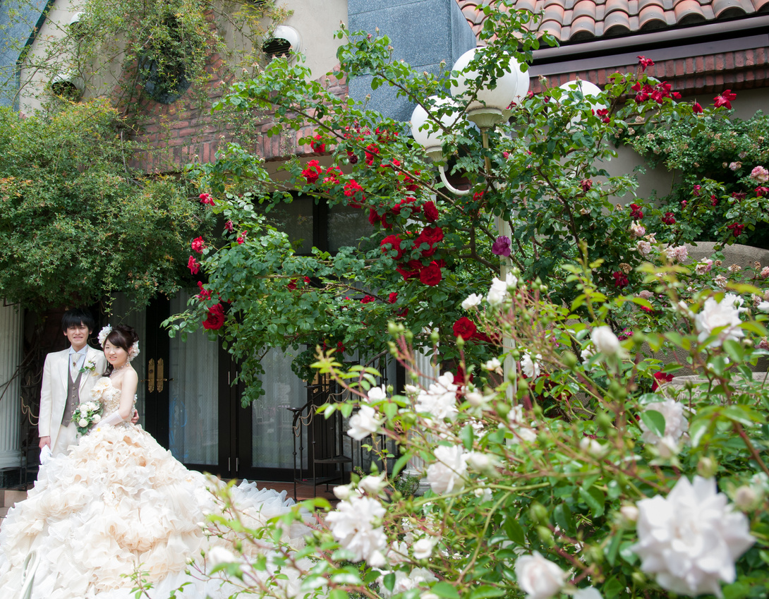 お気に入りのBGM